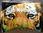 View this ad