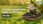 View this ad
