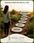 View this ad
