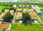 View this ad